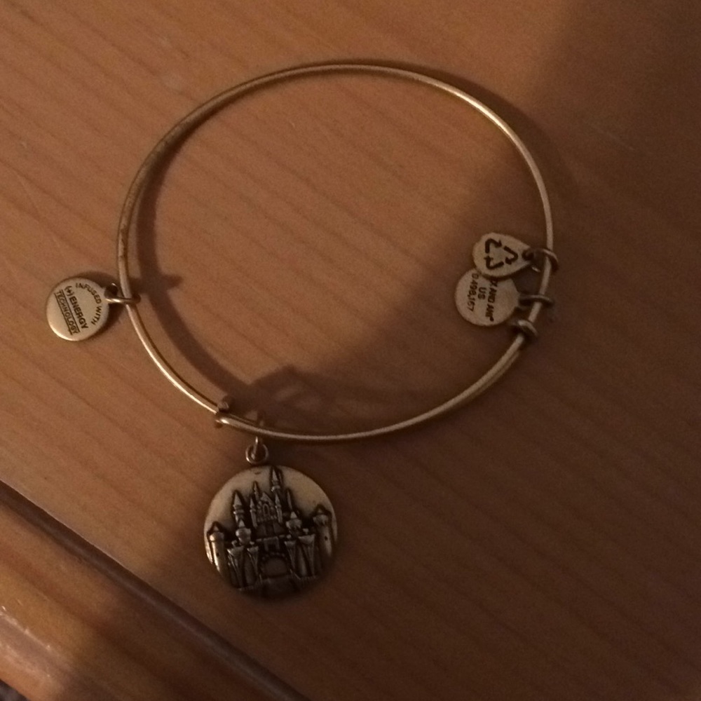 Alex and Ani braclet